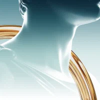 Neck